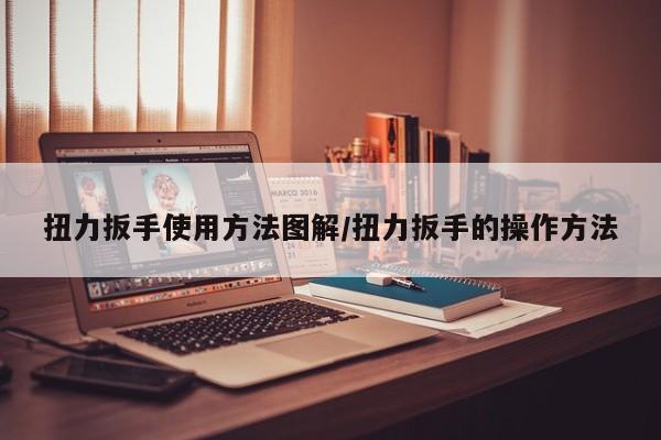 扭力扳手使用方法图解/扭力扳手的操作方法