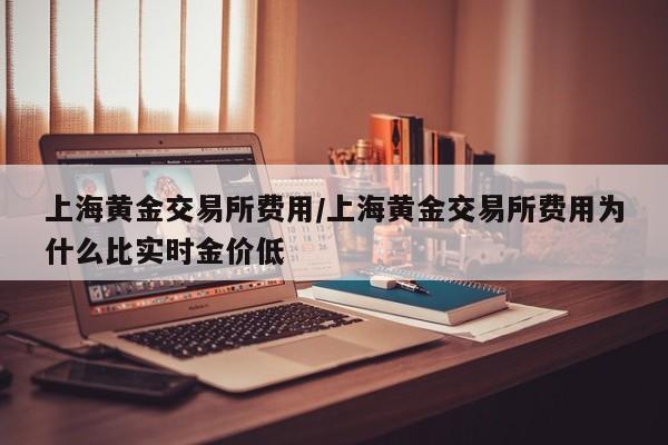 上海黄金交易所费用/上海黄金交易所费用为什么比实时金价低