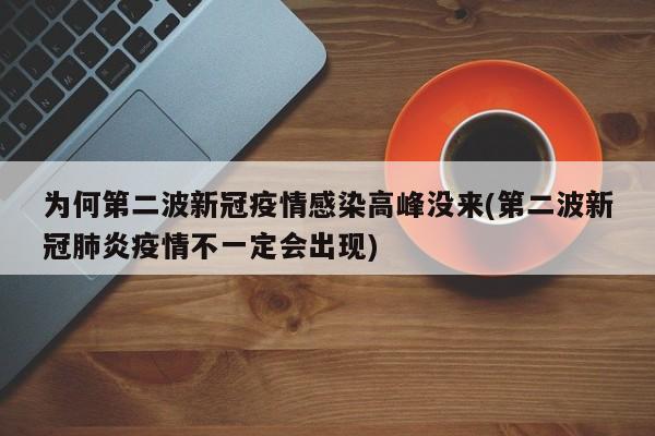 为何第二波新冠疫情感染高峰没来(第二波新冠肺炎疫情不一定会出现)