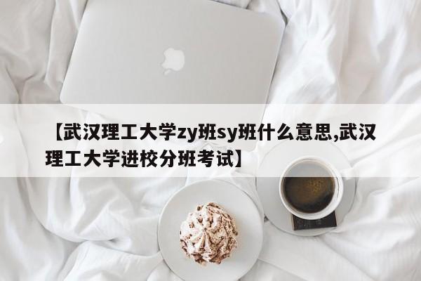 【武汉理工大学zy班sy班什么意思,武汉理工大学进校分班考试】
