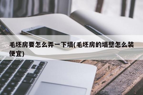 毛坯房要怎么弄一下墙(毛坯房的墙壁怎么装便宜)