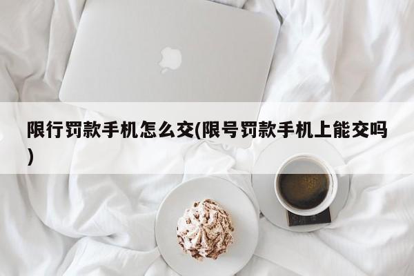 限行罚款手机怎么交(限号罚款手机上能交吗)