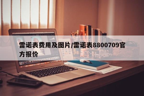 雷诺表费用及图片/雷诺表8800709官方报价
