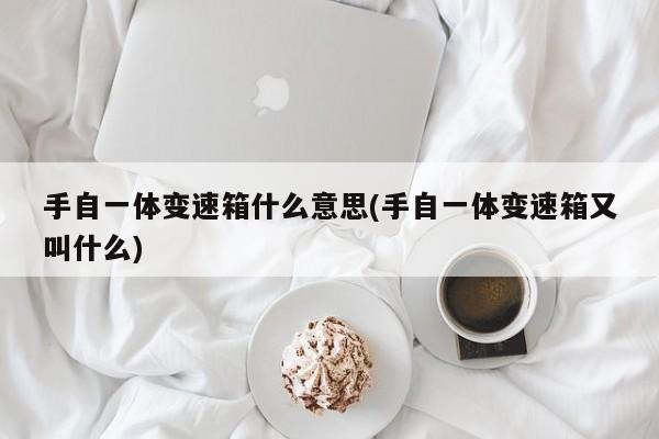 手自一体变速箱什么意思(手自一体变速箱又叫什么)
