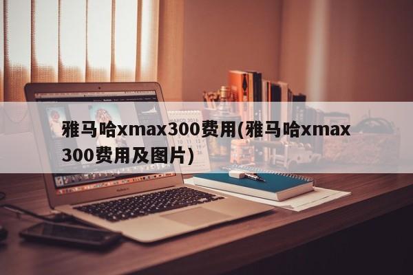 雅马哈xmax300费用(雅马哈xmax300费用及图片)