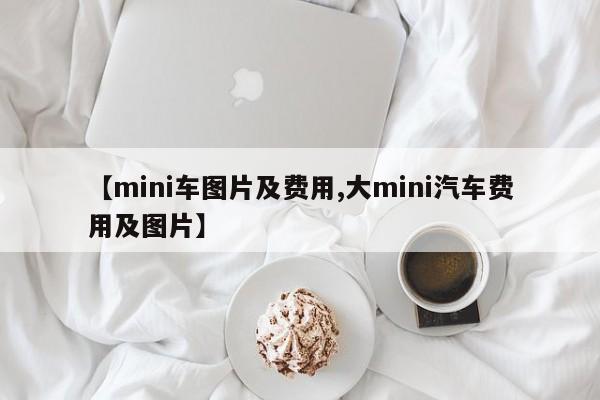 【mini车图片及费用,大mini汽车费用及图片】