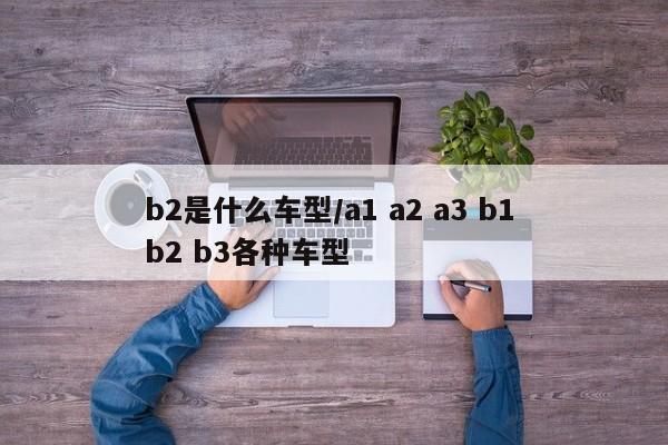 b2是什么车型/a1 a2 a3 b1 b2 b3各种车型