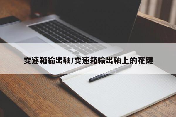 变速箱输出轴/变速箱输出轴上的花键