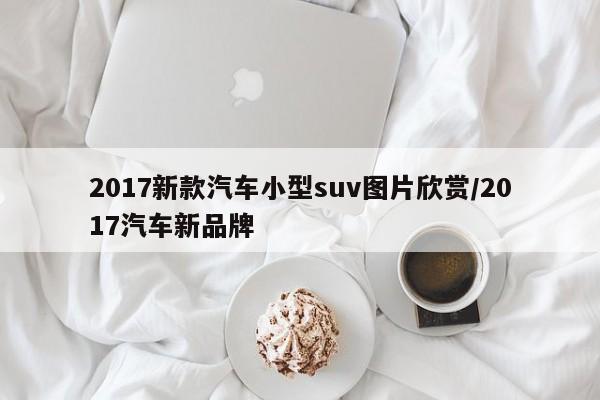 2017新款汽车小型suv图片欣赏/2017汽车新品牌