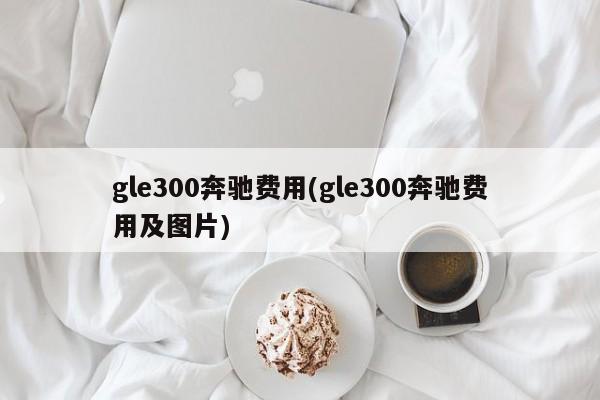 gle300奔驰费用(gle300奔驰费用及图片)