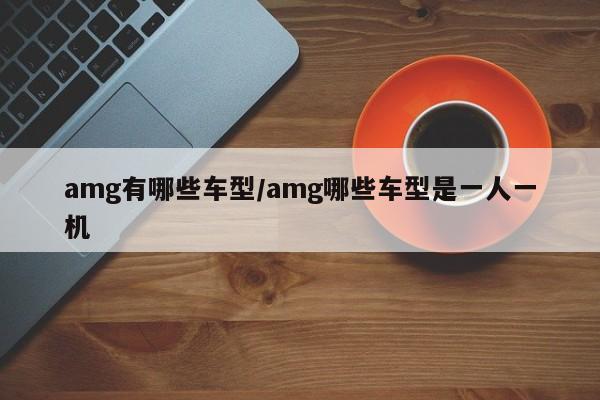 amg有哪些车型/amg哪些车型是一人一机