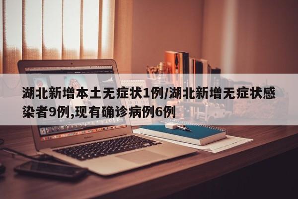 湖北新增本土无症状1例/湖北新增无症状感染者9例,现有确诊病例6例