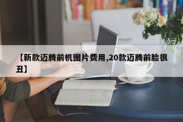 【新款迈腾前机图片费用,20款迈腾前脸很丑】