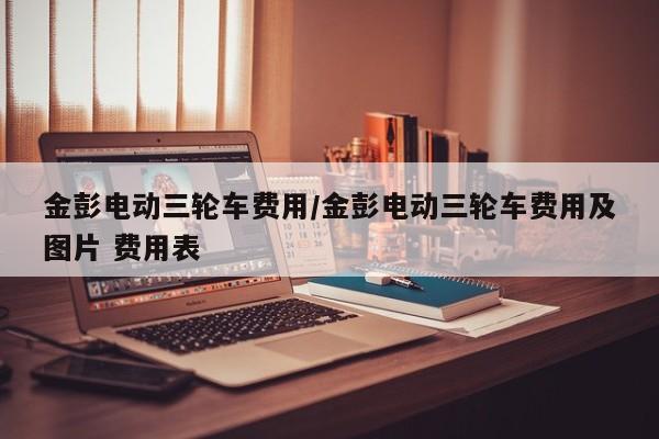金彭电动三轮车费用/金彭电动三轮车费用及图片 费用表