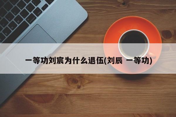 一等功刘宸为什么退伍(刘辰 一等功)