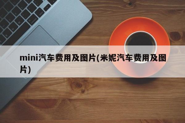 mini汽车费用及图片(米妮汽车费用及图片)