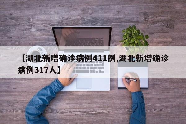 【湖北新增确诊病例411例,湖北新增确诊病例317人】