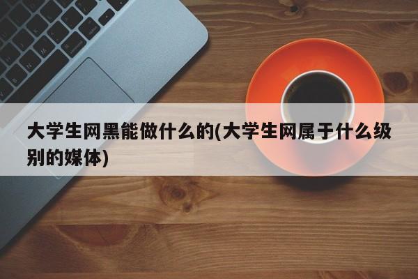 大学生网黑能做什么的(大学生网属于什么级别的媒体)
