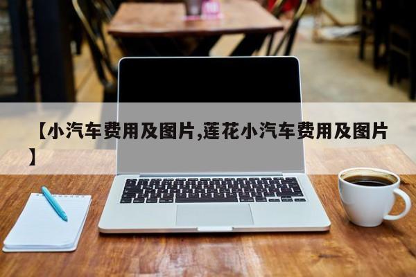 【小汽车费用及图片,莲花小汽车费用及图片】