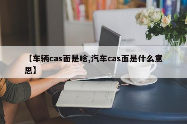 【车辆cas面是啥,汽车cas面是什么意思】