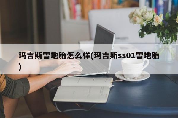 玛吉斯雪地胎怎么样(玛吉斯ss01雪地胎)