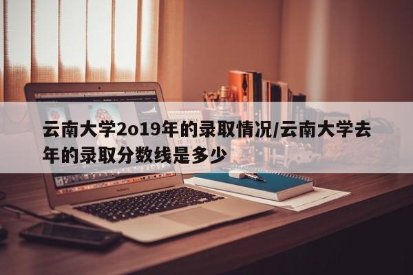 云南大学2o19年的录取情况/云南大学去年的录取分数线是多少