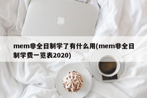 mem非全日制学了有什么用(mem非全日制学费一览表2020)