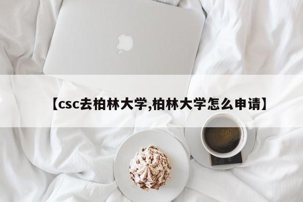 【csc去柏林大学,柏林大学怎么申请】
