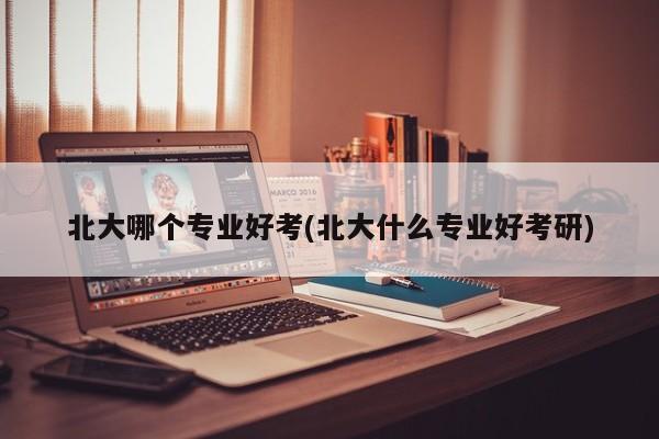 北大哪个专业好考(北大什么专业好考研)