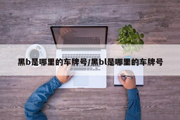 黑b是哪里的车牌号/黑bl是哪里的车牌号