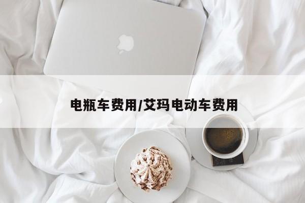 电瓶车费用/艾玛电动车费用