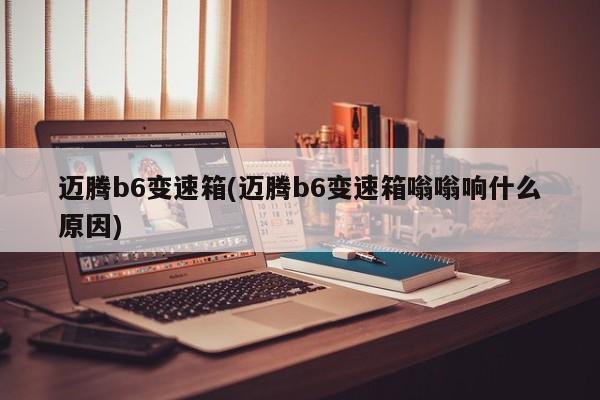 迈腾b6变速箱(迈腾b6变速箱嗡嗡响什么原因)