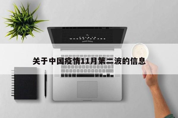 关于中国疫情11月第二波的信息