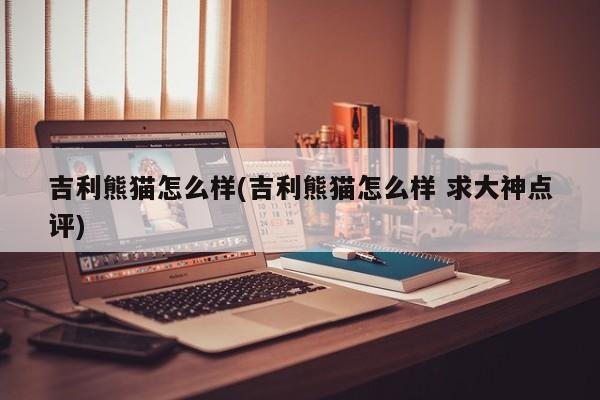 吉利熊猫怎么样(吉利熊猫怎么样 求大神点评)