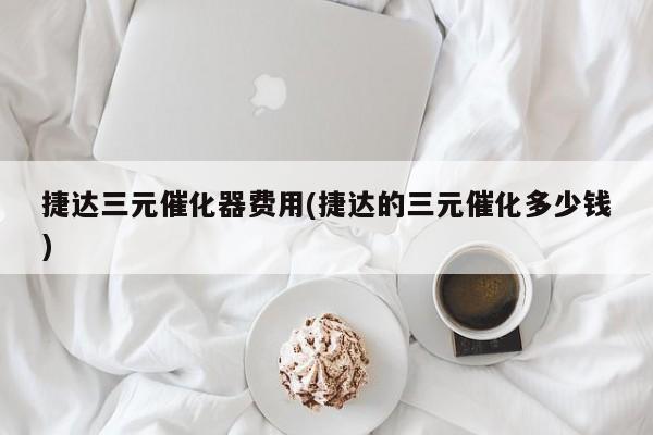 捷达三元催化器费用(捷达的三元催化多少钱)