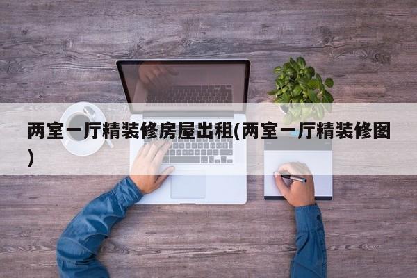 两室一厅精装修房屋出租(两室一厅精装修图)