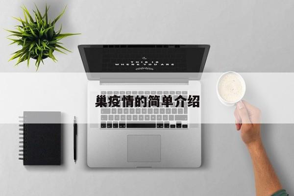 巢疫情的简单介绍