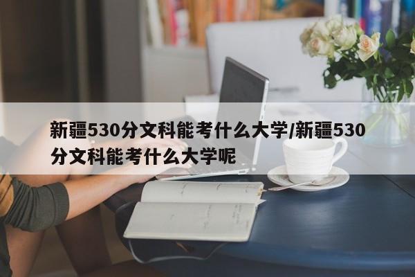 新疆530分文科能考什么大学/新疆530分文科能考什么大学呢