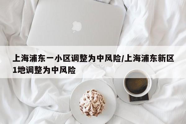 上海浦东一小区调整为中风险/上海浦东新区1地调整为中风险