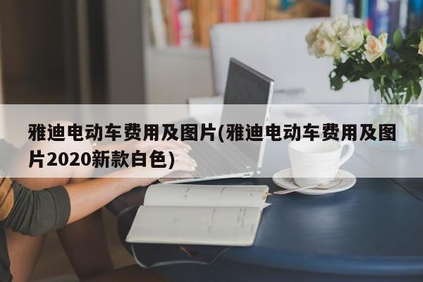 雅迪电动车费用及图片(雅迪电动车费用及图片2020新款白色)