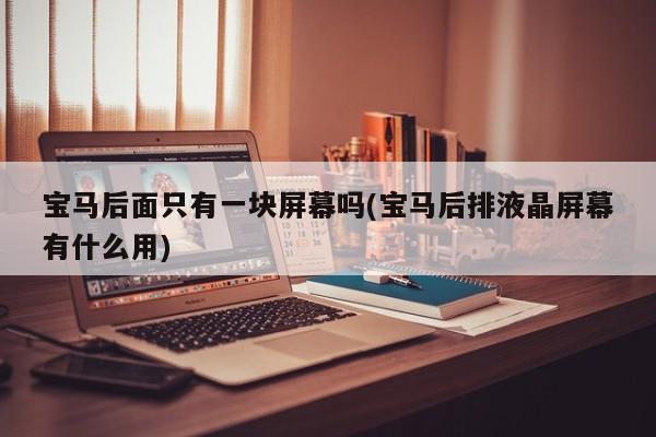 宝马后面只有一块屏幕吗(宝马后排液晶屏幕有什么用)