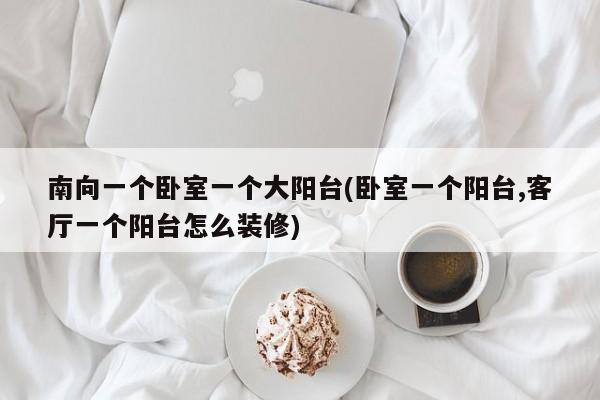 南向一个卧室一个大阳台(卧室一个阳台,客厅一个阳台怎么装修)