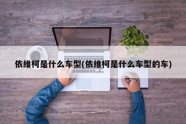 依维柯是什么车型(依维柯是什么车型的车)