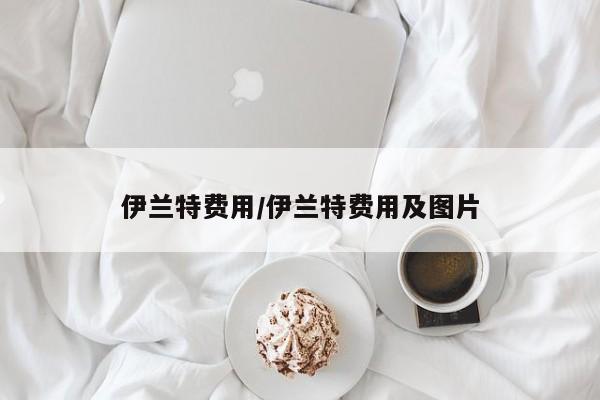 伊兰特费用/伊兰特费用及图片