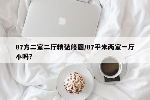 87方二室二厅精装修图/87平米两室一厅小吗?