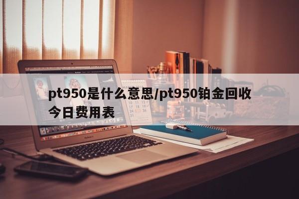 pt950是什么意思/pt950铂金回收今日费用表