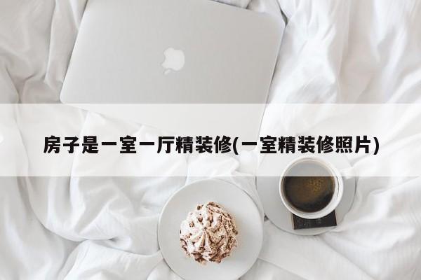 房子是一室一厅精装修(一室精装修照片)