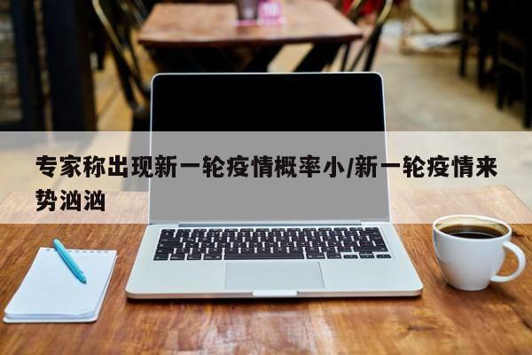 专家称出现新一轮疫情概率小/新一轮疫情来势汹汹