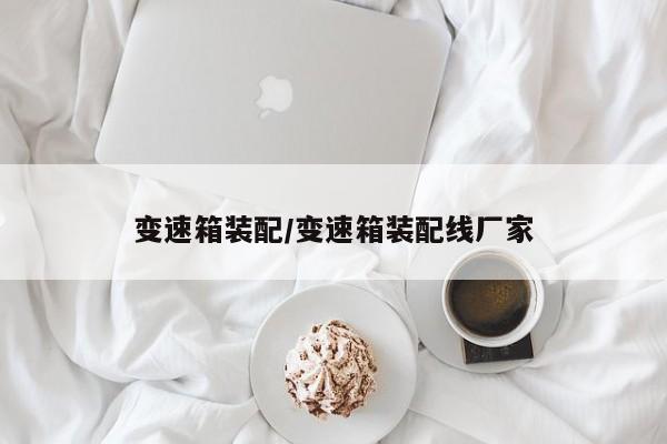 变速箱装配/变速箱装配线厂家